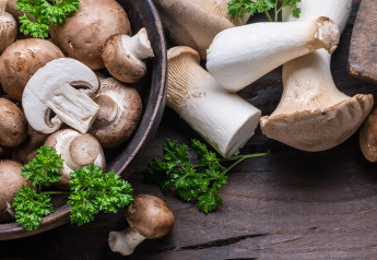 How the Mushroom Council aligns marketing to resonate with consumers