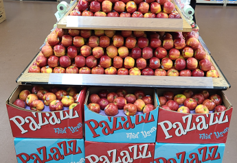 Marketing opportunities abound with large apple crop this season