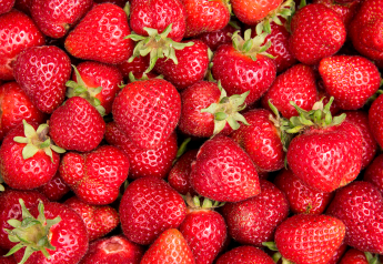 Survey shows consumer preferences for organic strawberry purchases
