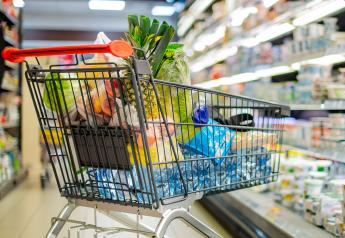 U.S. digital grocery sales fell 1% in 2023, survey finds