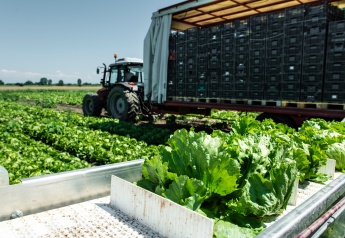 Produce Traceability Initiative releases new FSMA 204 guidance