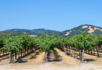  Exploring the vineyard of the future project's broader impacts