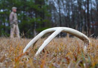 Antler Madness: Deer Shed Thieves Poach Farmland, Private Property