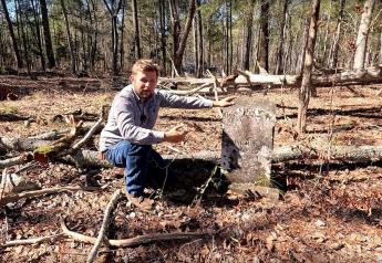 Tree Rustlers Steal Timber, Damage Graves At Historic Slave Cemetery