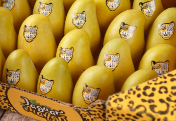 Mango importer's campaign to aid jaguar conservation programs