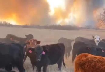 Wildfires Raging in Texas, Oklahoma Panhandle Region Threaten Residents and Livestock