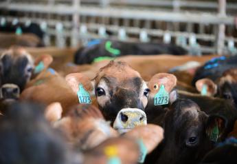 South Dakota Governor Supports the State's Massive Dairy Industry Growth