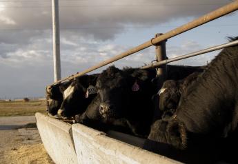 Register Today: Managing mud in feedlots - Online Discussion Monday, Feb. 5 at Noon (CST)