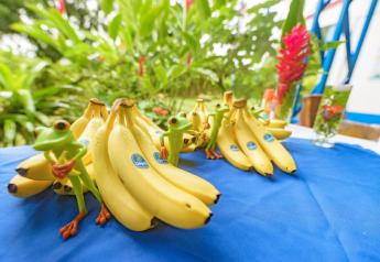 Chiquita pledges additional 10 years of protection to nature reserve