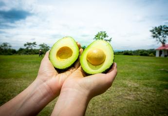Colombian avocados star in Super Bowl celebrations, agency says