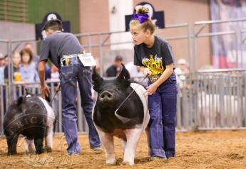 American Royal To Host New Spring Youth Livestock Show