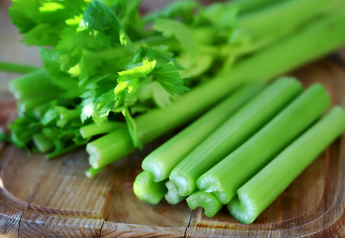 Duda Farm Fresh Foods celebrating National Celery Month