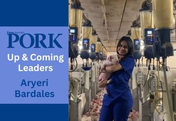 From Honduras to the U.S.: Bardales Studies Opportunities to Improve Pig Livability