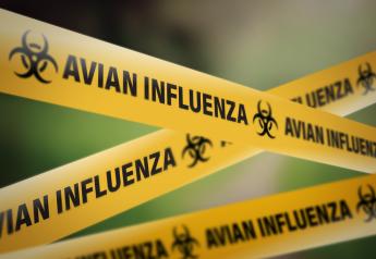 BREAKING: Second U.S. Dairy Worker Infected with Bird Flu Confirmed in Michigan