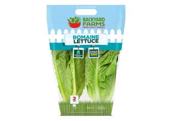 Backyard Farms adds large-format, greenhouse-grown romaine