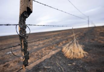 Replacing Thousands of Miles of Burned Fences in the Texas Panhandle