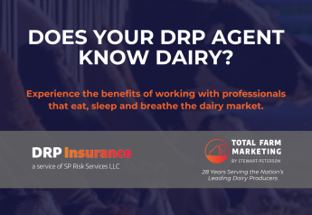 Navigating Dairy Revenue Protection: Essential Considerations When Choosing Your DRP Insurance Agent