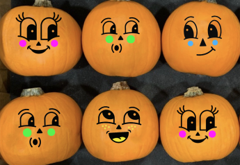 Bay Baby Produce to debut Retro-Kins decorative pumpkins