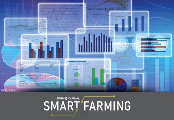 When the Data Gets Overwhelming: Key Metrics to Pay Attention to on the Swine Farm