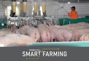 Will Precision Livestock Farming Be Adopted on Swine Farms?