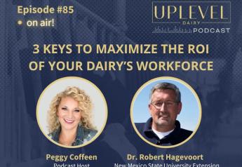 3 Keys to Maximize the ROI of Your Dairy’s Workforce