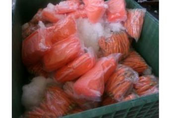 CBP officers seize drugs concealed in carrot shipment