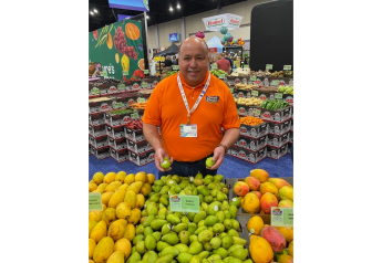 Criollo mango sees growing interest