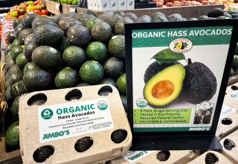 With harvest on the horizon, California avocados will soon be ready for retail