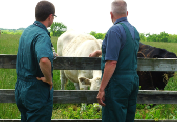 AABP Creates 'Using Credentialed Veterinary Technicians  in Bovine Practice' Guidelines