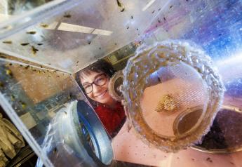 University of Nebraska Professor Leads RNAi Research Targeting Western Corn Rootworm