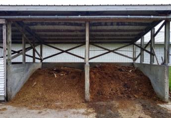 How to Manage Small Swine Farm Manure in the Summer