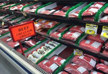 US to Test Ground Beef in States With Bird-Flu Outbreaks in Dairy Cows