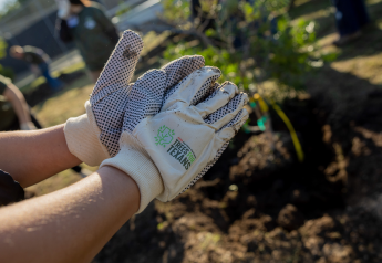 H-E-B plants trees in Texas, celebrates Earth Month 