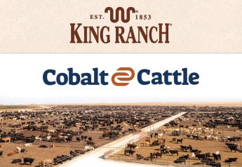 King Ranch® Announces Strategic Investment into Cobalt Cattle 