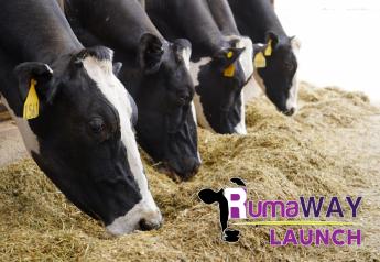 RumaWAY® LAUNCH:  Combine benefits of liquid sugars with negative DCAD for prefresh cows