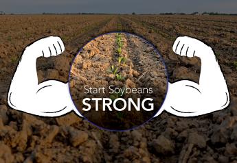 4 Ways to Start Soybeans Strong