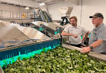 Clean Works disinfects produce with waterless food safety technology 