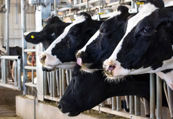 NEW: USDA Confirms Cow-to-Cow Transmission a Factor in Avian Flu Spread