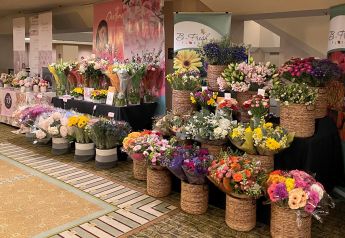 Conference to explore 6 key shifts shaping floral's future
