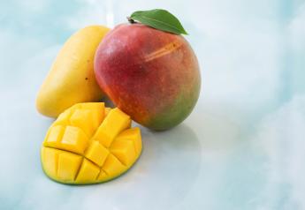 Mango market continues to expand