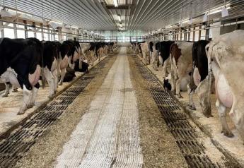 H5N1 Mandatory Testing For Interstate Movement Of Dairy Cattle In Effect