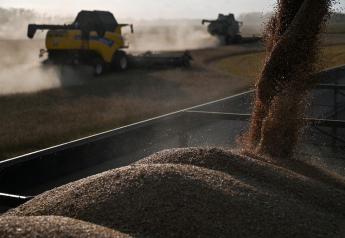 Wheat Prices Rise as Frosts Damage Crops in Top Exporter Russia