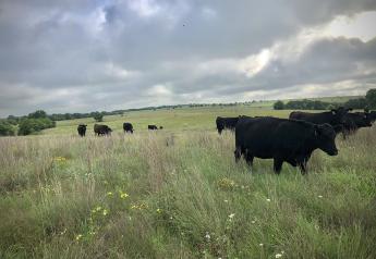 G Bar C Ranch Takes Texas Ranchers Behind the Farm Gate