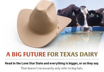 A Big Future for Texas Dairy