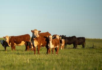 With Parts of the Country Getting Fall Are Cattle Producers Ready to Expand?