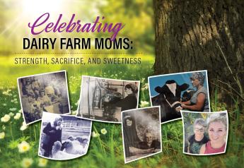 Celebrating Dairy Farm Moms: Strength, Sacrifice, and Sweetness