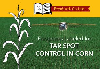 Product Guide: Fungicides Labeled for Tar Spot Control in Corn