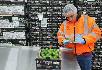 Produce companies gear up for summer citrus demand 