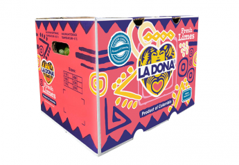 La Dona Fruit's new 40-pound box of limes.