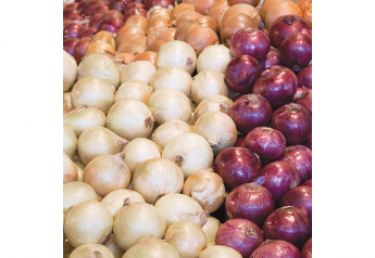 Texas onion growers expect good season despite acreage decline